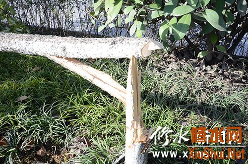 ԰����Ա�����������⿳�Ͼ�������ͼ��